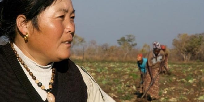 The Chinese will play an important role in agriculture development