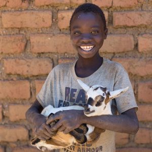 Charity Christmas gift for Africa goat