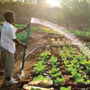 Christmas gift for Africa Irrigation System