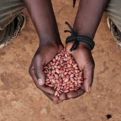 Charity Christmas gift for Africa seeds