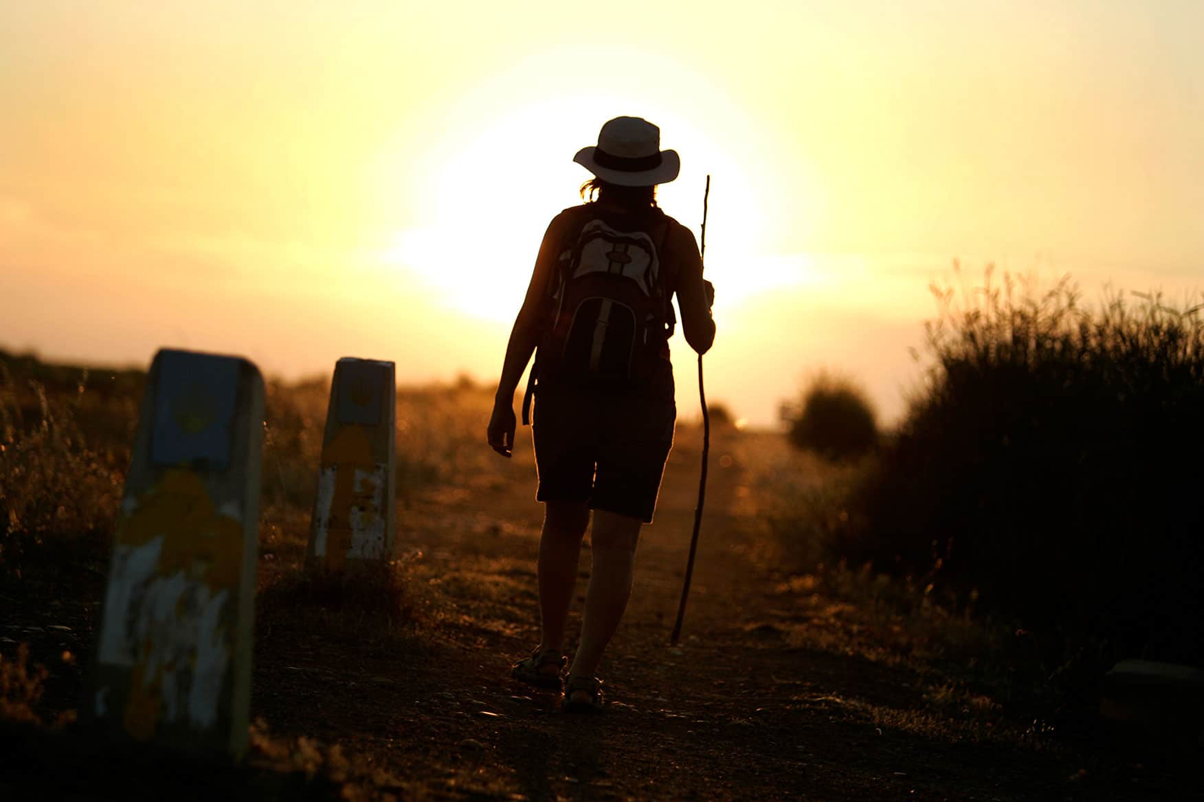 Featured image for “Walk the Camino 2025”