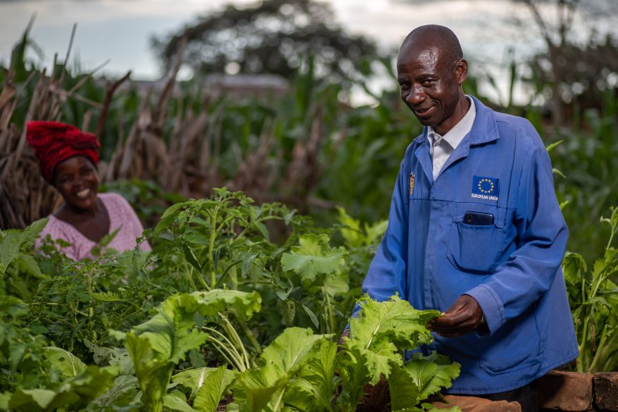 Malawi Farmers Reap Benefits of Climate-Smart Methods - Self Help Africa