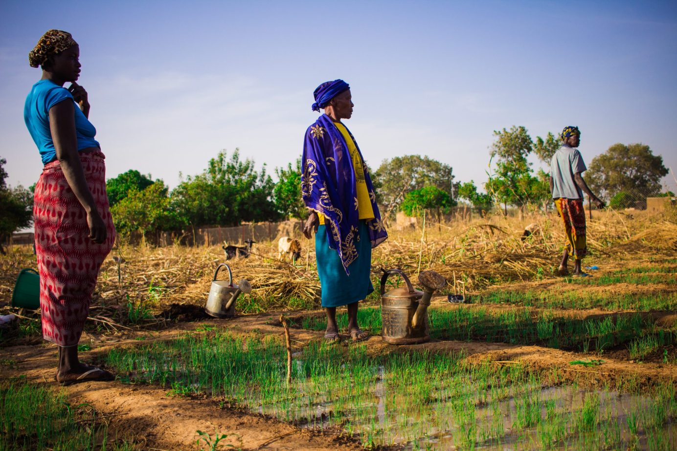 International Day of Rural Women 2023 - Self Help Africa