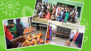 Collage of images of solar dryers open with tomatoes in them. and one group shot of all involved in its launch against a green background.
