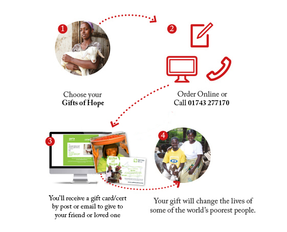 How buying Lifetime Gifts works