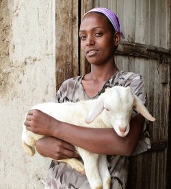 Christmas gift for Africa goats