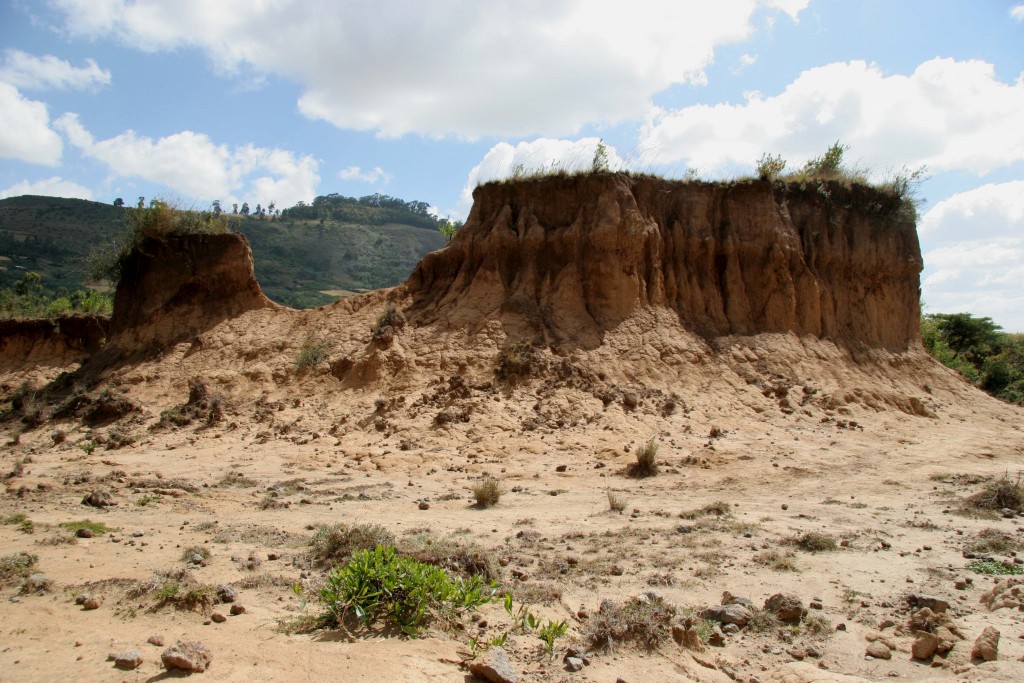 In Ethiopia, More Than 15,000 Farmers Are Being Supported By An ...