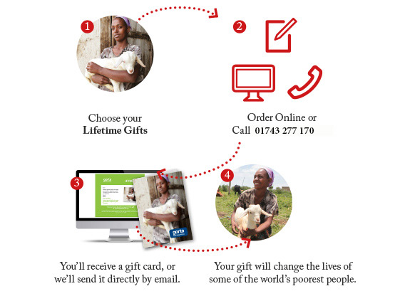 How buying Lifetime Gifts works
