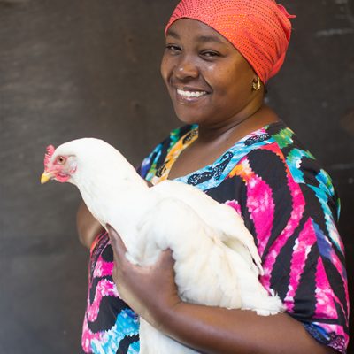 Christmas gift for Africa chickens