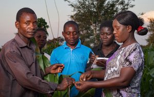 farmer-group-malawi