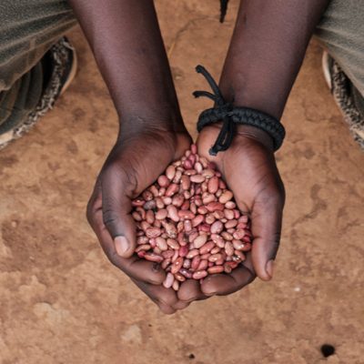 Christmas gift for charity Africa seeds