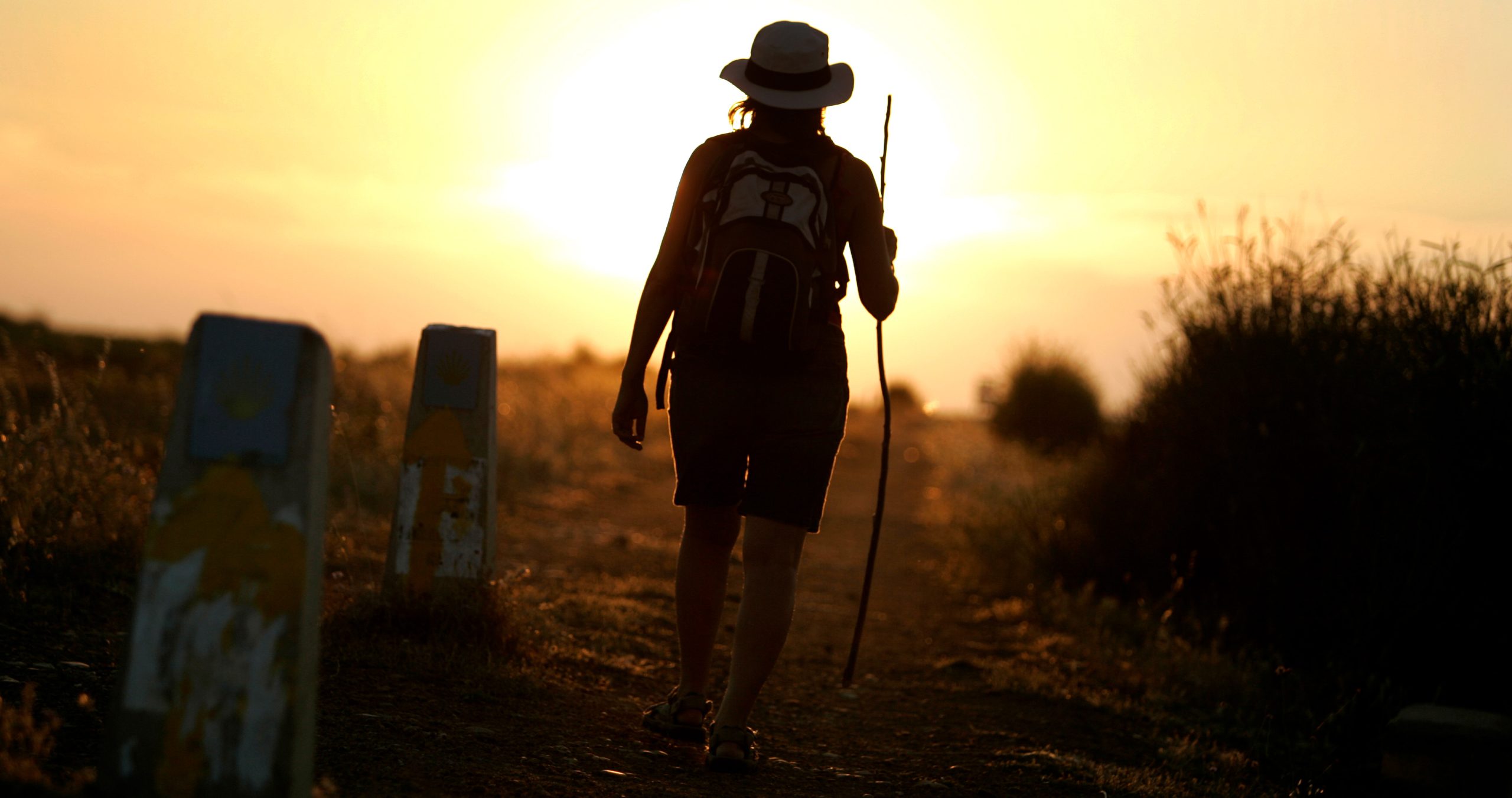 Featured image for “Walk the Camino 2025”