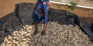Picture of woman with her maize harvest