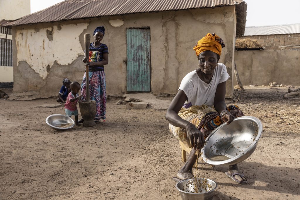 woman crouches to stir seed in large steel bowl outside her home. Family members stand in background.